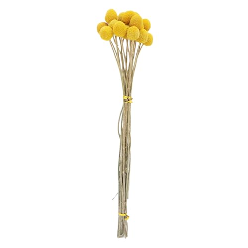 Ramo de flores secas Zerone diseño elegante para decoración miniatura 6