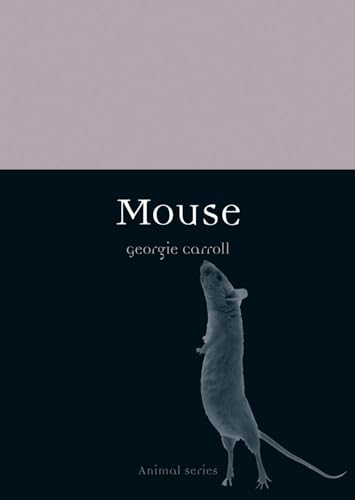 Mouse view 2