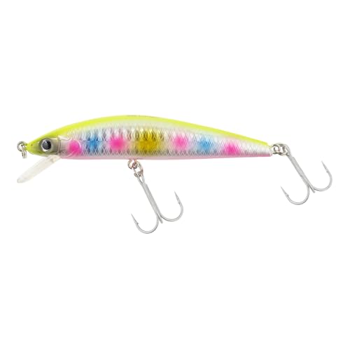 �v���g���X�g(PRO TRUST) �V�[�R���^�N�g ���P�b�g�T�[�f�B�� �`���[�g�L�����f�B 9cm PT-9005
