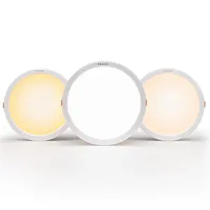 Murphy Glass 10W Trimless 3-In-1 Round Led Panel Ceiling Color Changing Light (Cool White/Warm White/Natural White, Pack Of 20)