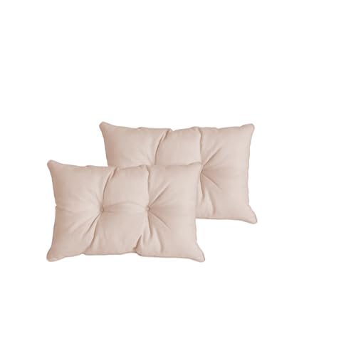 Atout Ciel Lot de 2 Coussins Garnis pour Dossier de canapé d'extérieur, en Tissu déperlant 60x40cm, Beige Uni