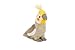Trigon Stofftier Nymphensittich 19 cm, Kuscheltier Plüschtier Sittich Vogel Vögel