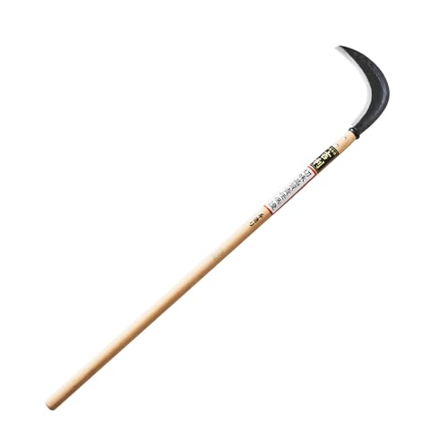 g  ^  QPO ł ЎŐU񂵂Ċ np|gp Ċyɑ肪o r p