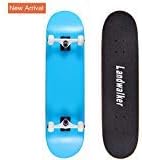 Landwalker Pro Cruiser Complete Girl Skateboard 31x8 Inch Skateboards Skateboard
