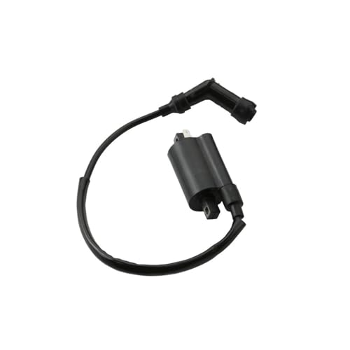 Bobina de encendido para scooter D2 250cc, optimice la chispa del motor 3051A-KKC4-9000
