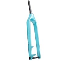 リジットフォーク　DMR（ヘッドパーツ付き） リジットフォーク DMR（ヘッドパーツ付き） Amazon.co.jp: MTB