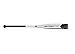 Axe Bat 2019 EliteOne (-10) USSSA Baseball Bat, 28