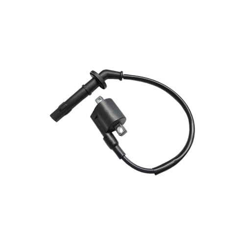 Bobinas de encendido de alta presión LONCIN YBS300 para motor de motocicleta de 4 tiempos
