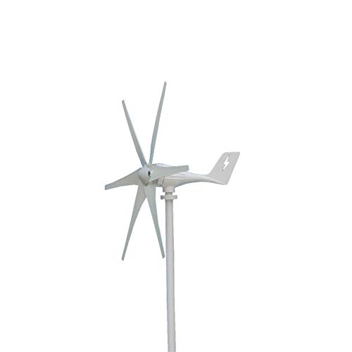 Lin Feng Xin Mu Cai Generator For Garden Roads 600W 12V/24V Wind Turbine Generator 6 Blades Turbine Wind Generator (Color : 24V)