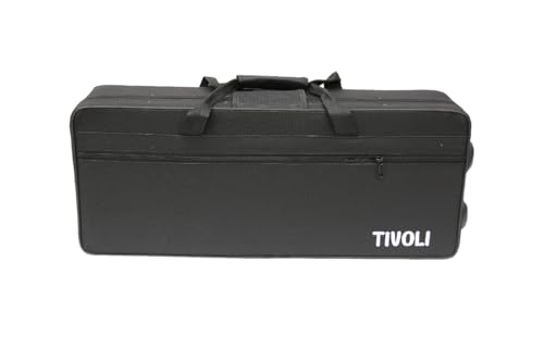 Kit Saxofone Alto Eb Laqueado Estojo Case Luxo Kit Acessórios