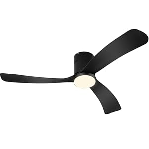 black ceiling fan with lights