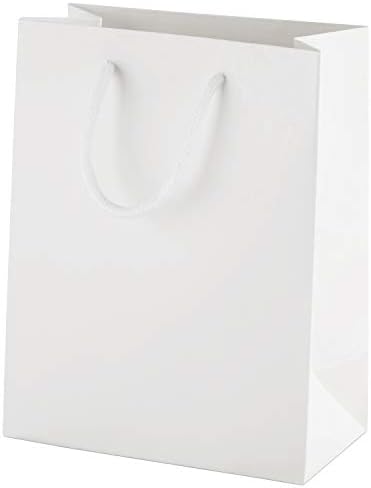 Thepaperbagstore 10 White Luxury Matt Laminated Paper Bags with Rope Handles - Medium 200x240x100mm