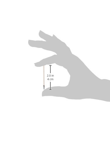 PROXXON 28270 Silizium-Karbid Schleifstifte 2 Stück/Packung