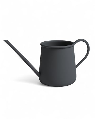 Livlig53 Gießkanne 1L, Gießkanne Zimmerpflanzen, Blumengießkanne mit extra langem Ausguss, Giesskanne klein für Topfpflanzen, Metallgießkanne in Anthrazit