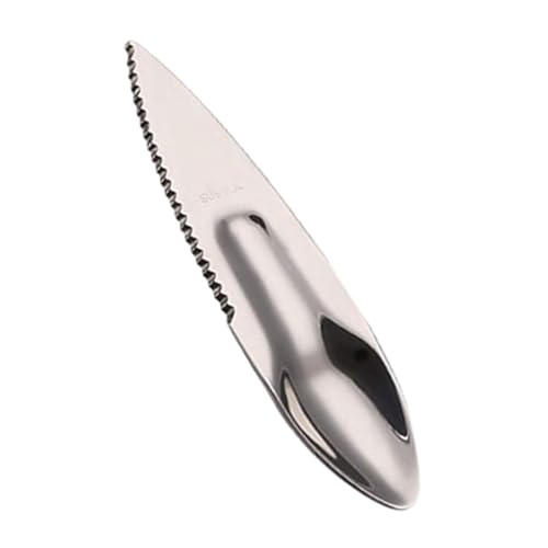 WNDUOKXH 2 cuillères à Fruits, Outil Multifonctionnel, cuillère à découper Les Kiwis, Couteau à Fruits Multifonctionnel Polyvalent en Acier Inoxydable