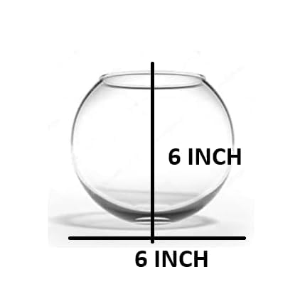 Image of CAS Glass Fish Bowl 1 Litre (6 INCH, Without Neck Collar (W /C))