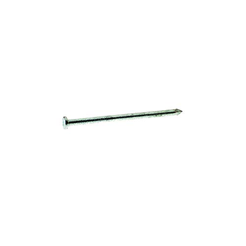 Grip-Rite 60D 6 in. Common Hot-Dipped Galvanized Steel Nail Round 5 lb. - Case of: 6;6