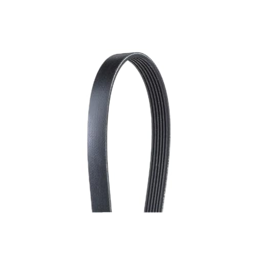 Courroie 6PK925 striée haute performance anti-patinage