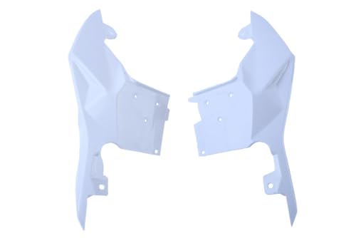 Asiento colín trasero avdb-moto sin pintar completo para moto BMW S1000R y S1000RR