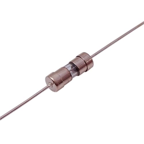 Fusibles en verre 5x20 mm 10A pour restaurer vos éclairages et appareils domestiques, x10