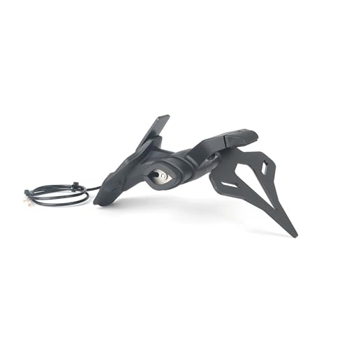 Support de plaque moto Ducati Streetfighter V2 et V4 S cadre arrière de contre-pointe 2020-2022