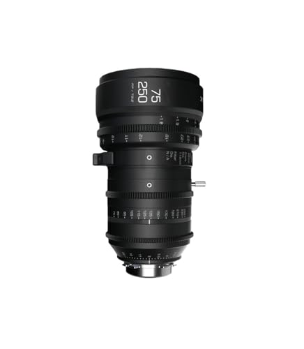 �J�����ɑ����āA 75-250mm T3.2 28-85mm T3.2 �R���p�N�g�Y�[���V�l�����Y �t���t���[���Y�[���t�B���� PL EF�}�E���g�t�� �A�ʐ^�p(75-250mm T3.2)