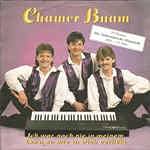 Bild: Ich war noch nie in meinem Leb'n so wie in dich verliebt (1992) / Vinyl single [Vinyl-Single 7''] fr 9,99 EUR bei amazon.de