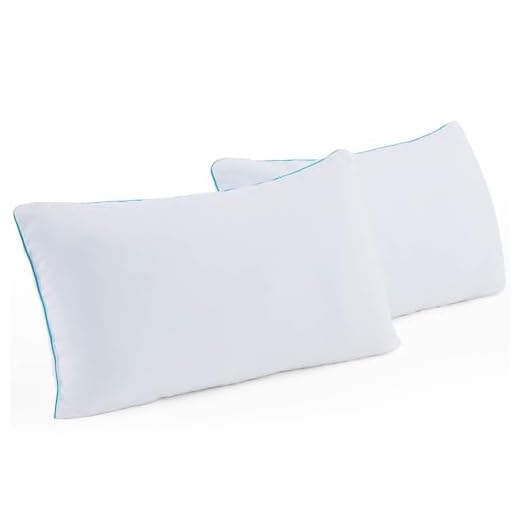 Linenspa 2 Pack Shredded Memory Foam Pillows for Sleeping - Hypoallergenic - Moldable Comfort for all Sleepers - Queen