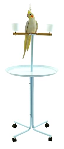 Large 23" Play T-Stand Perch Metal Base Parrot Bird Cage Amazon African Grey Macaw Cockatoo with Lockable Rolling Castors