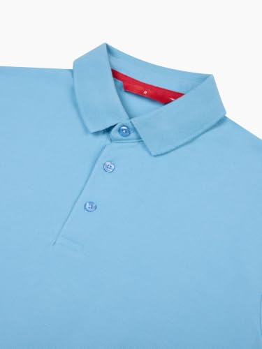 Image of LUDIC Core Polo T-Shirt, Dailymove Collection | Regular Fit | Stand-up Collars | 100% Organic Cotton, 240 GSM | Lightweight & Comfortable |Everyday Essential | Polo T-Shirt for Men