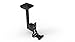 Flexson Ceiling Mount for Era 300 (Black, Single)