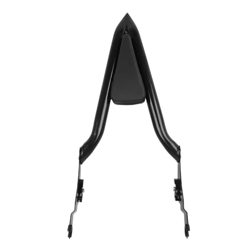 Dossier Passager Arrière et Porte-bagages pour Moto Touring Electra Glide 2009-2023