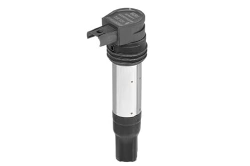 Borgwarner (Beru) Zse229 Bobina D'Accensione