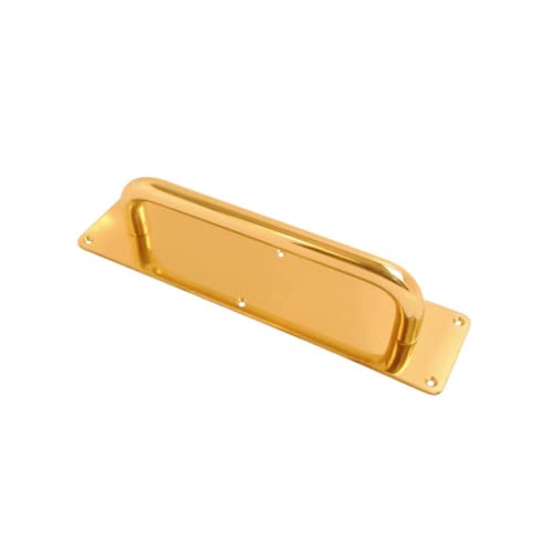 Vibe Poignée de porte coulissante sur plaque de 19 mm - 225 x 19 mm (plaque de 300 x 63 mm) sur laiton poli - Poignée de porte robuste sur laiton poli pour portes intérieures