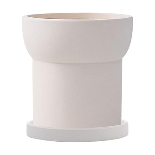 Pots décoratifs pour utilisation intérieure et extérieure de vos cactus - 2