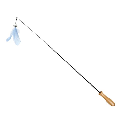 SEWACC 2 L_ ؃nh Lk\ J[{t@Co[ yʑϋv LVїpC^NeBu qLpXgXu[ s