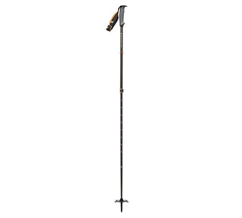 Black Diamond Traverse WR 2 Pole