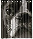 Fashion Custom Purebred Cute Boston Terrier Waterproof Fabric Bath Shower Curtain 60" x 72"
