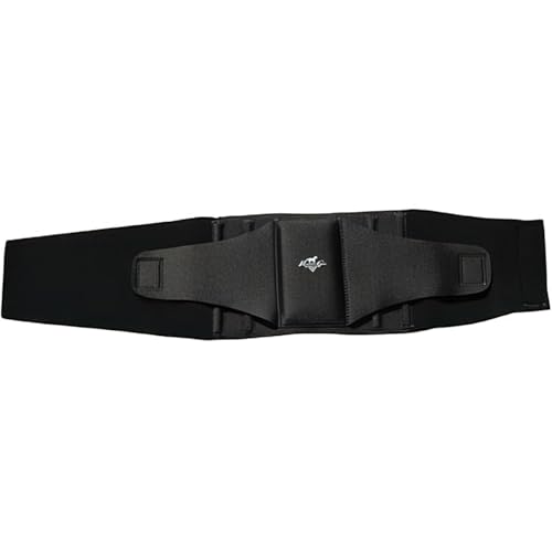 Professionals Choice Comfort Fit Low Back Support (Small, Black)