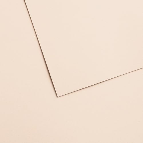 Canson Mi-Teintes Velvet Drawing Paper Sheet, Powder Beige, (260lb/430g), 1 Sheet, 19.69x25.6 inch, 1 Count