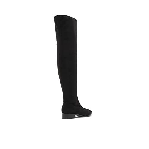 ALDO Women's Sevaunna Knee High Boot3