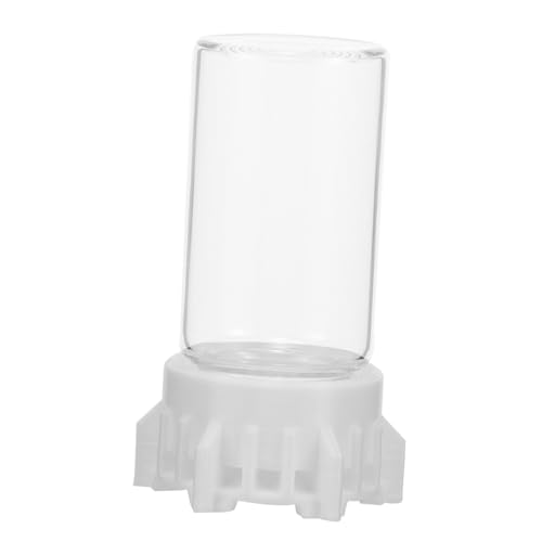 WOONEKY Alimentador De Agua para Hormigas Comederos De Hormigas Taza De Alimentación De Hormigas Nido De Hormigas Suministros Herramientas De Cuidado De Hormigas Cuenco De Hormigas Vidrio