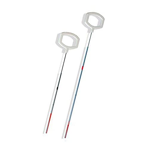 Drummond Scientific Gastight Syringe, 100 µL