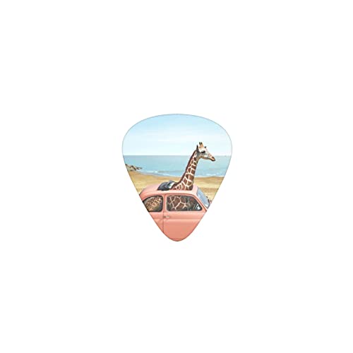 L̗ fUCM^[sbN guitar pick eBAhbv^ GLM^[/AR[XeBbNM^[/NVbNM^[/x[X̗KɍœK12Zbg