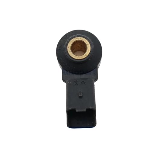 Capteur de cliquetis 0261231168 auto compatible avec Peugeot 206 207 307 et Citroën C3 C4