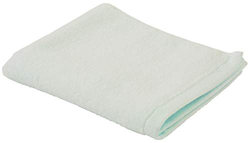 UCHINO ӂӂJ[ QXg^I 34×40cm u[ 8806G831 B1