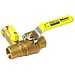3/4" Sweat PRO-PAL Ball Valve w/Drain (Lead Free)