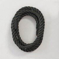 212 Main PS7828 Climbing Rope