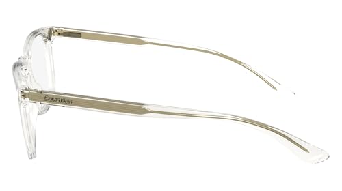 Lunettes de soleil Calvin Klein Ck23548 design mixte chic