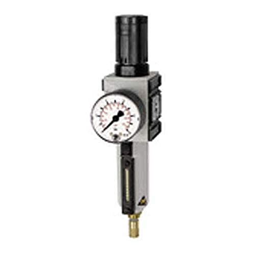 Régulateur de filtre purge automatique RIEGLER protégeant les circuits G 3/4"